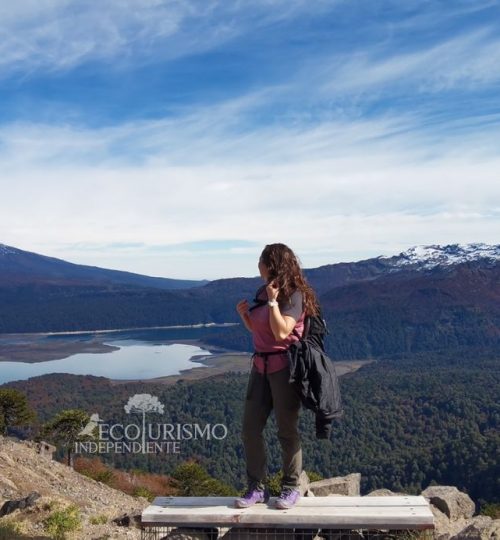 0001-5261755154247192672